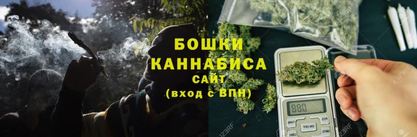 ГАЛЛЮЦИНОГЕННЫЕ ГРИБЫ Беломорск