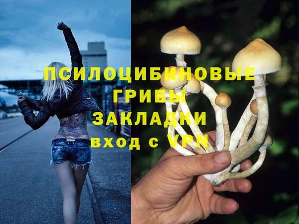 ECSTASY Белоозёрский