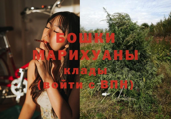 спайс Белокуриха