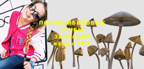 спайс Белокуриха
