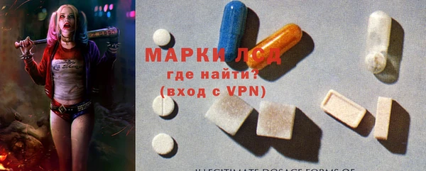 ГАЛЛЮЦИНОГЕННЫЕ ГРИБЫ Беломорск