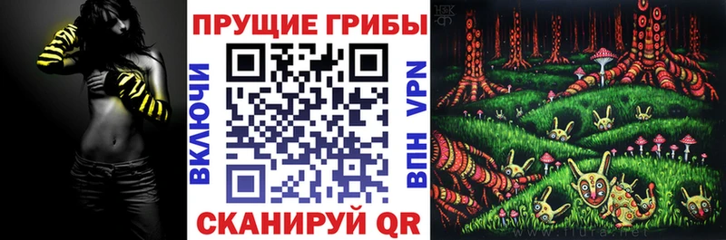 продажа наркотиков  Верхняя Пышма  Галлюциногенные грибы Magic Shrooms 